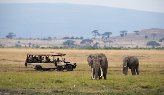 Amboseli, Kenya
