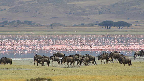 Lake Manyara, Tanzania