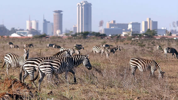 Nairobi