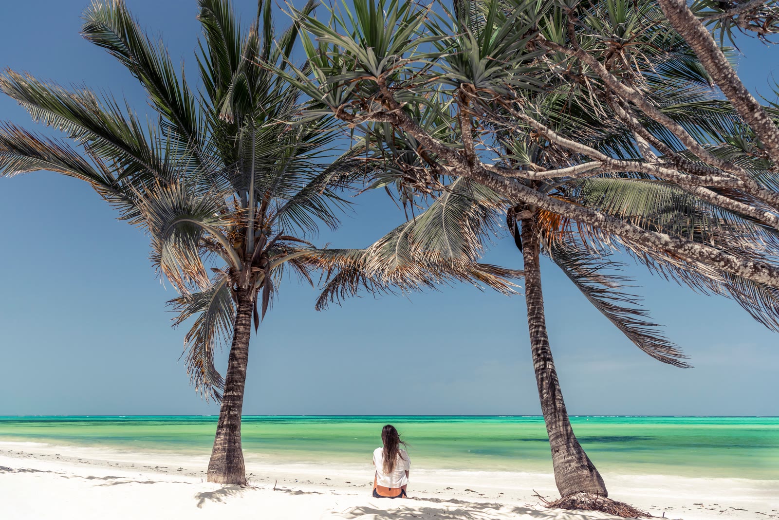 A traveller sitting beneath palms beside the Indian Ocean