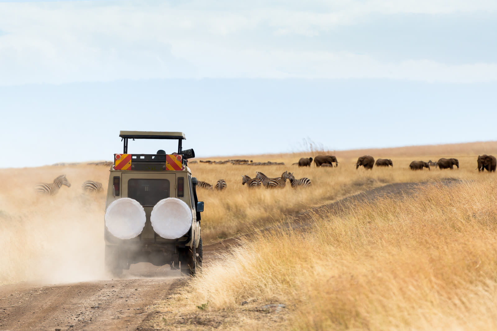 A FAD safari vehicle on a game drive in East Africa