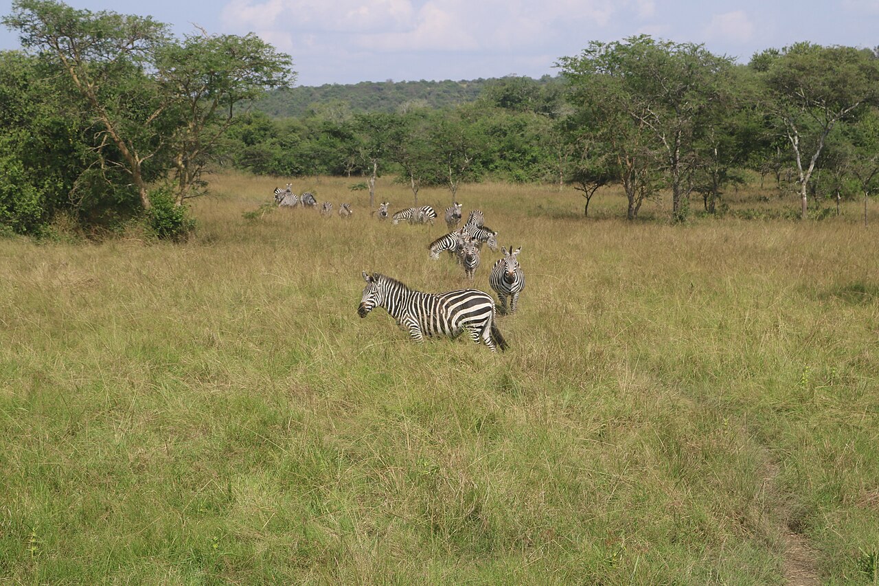 Lake Mburo