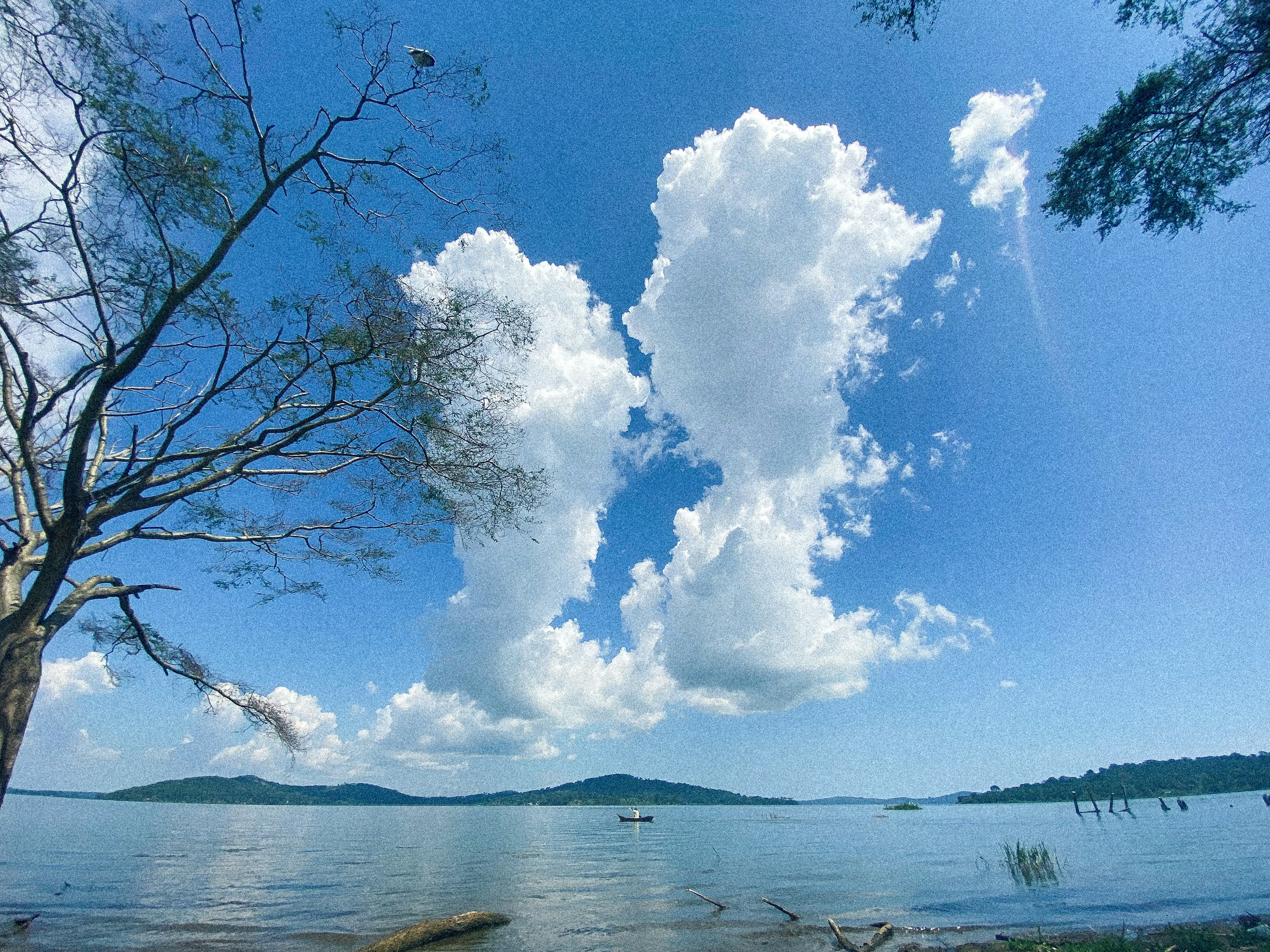 Lake Victoria in Tanzania