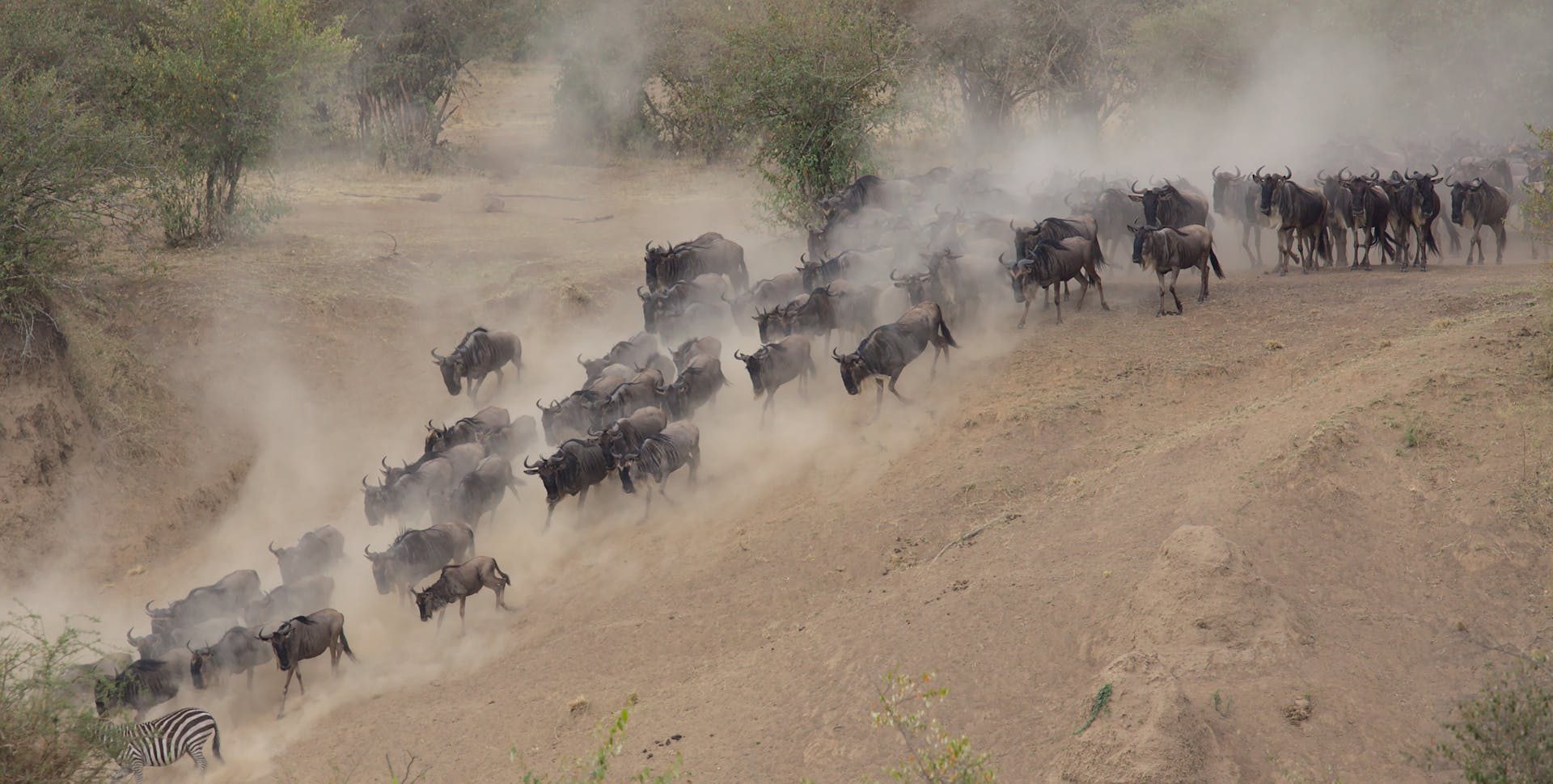 3-Days Masai Mara Safari from Mombasa