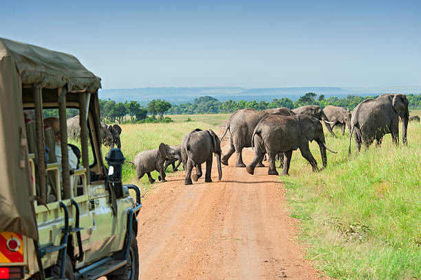Masai Mara, Kenya