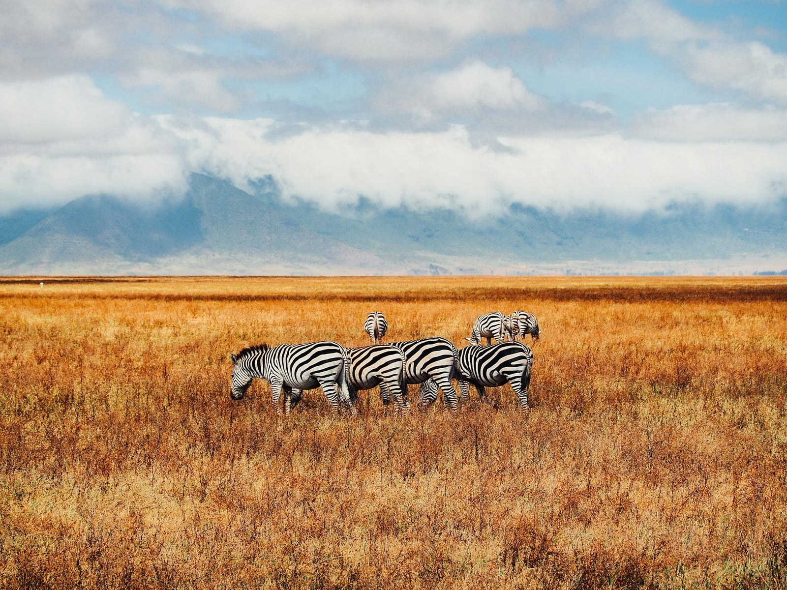 Ngorongoro, Tanzania
