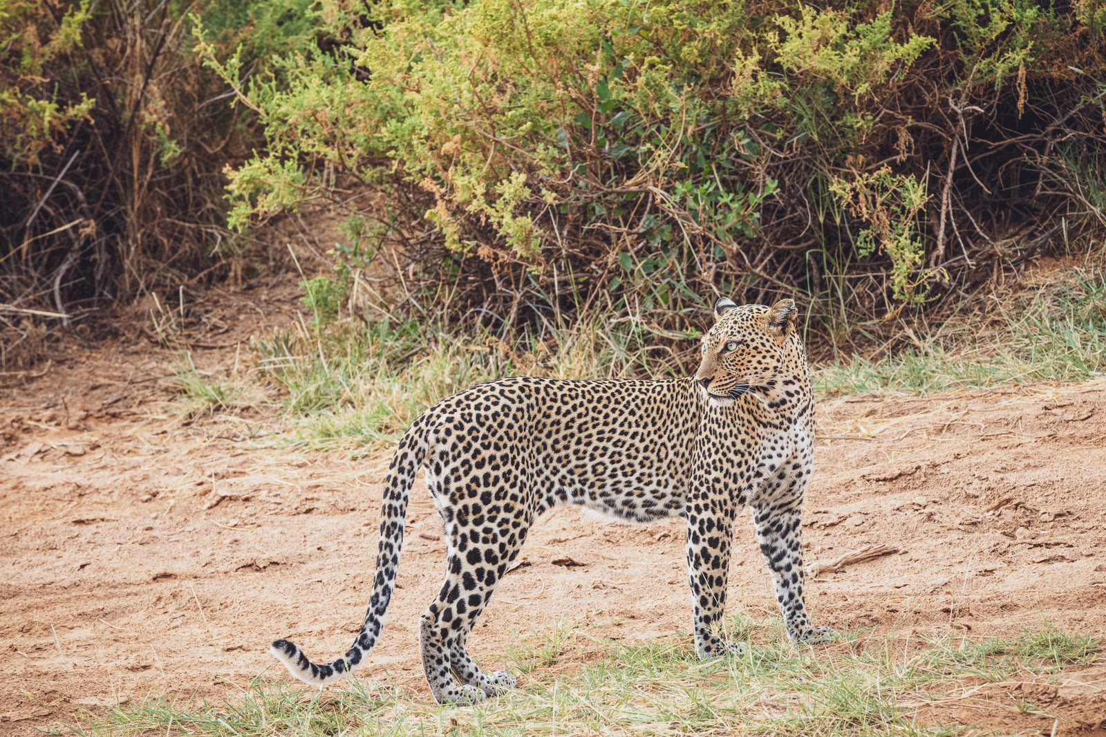8-Days 7-Nights Affordable Kenya Adventure Safari