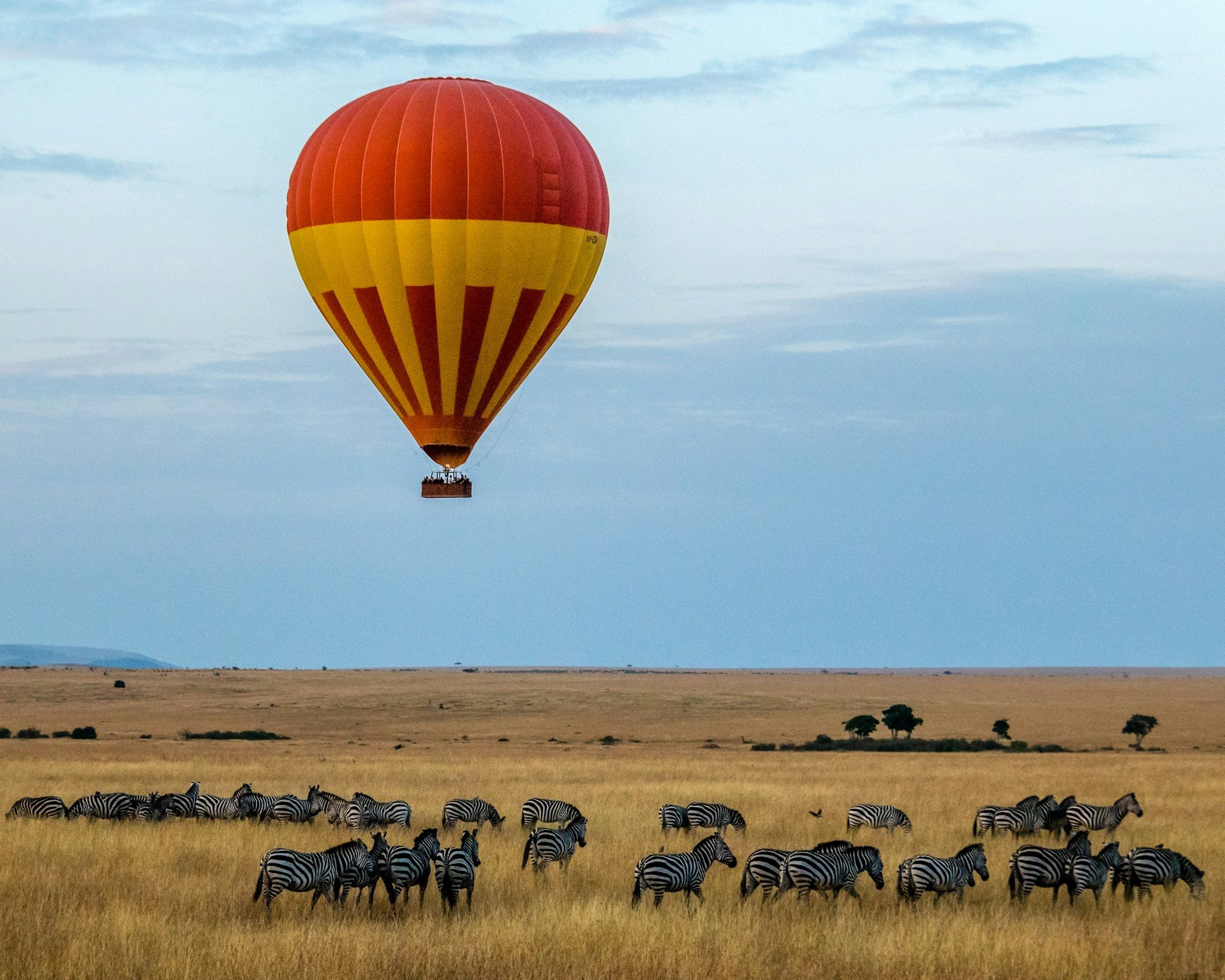 10-Day Kenya and Tanzania Safari Combined Package