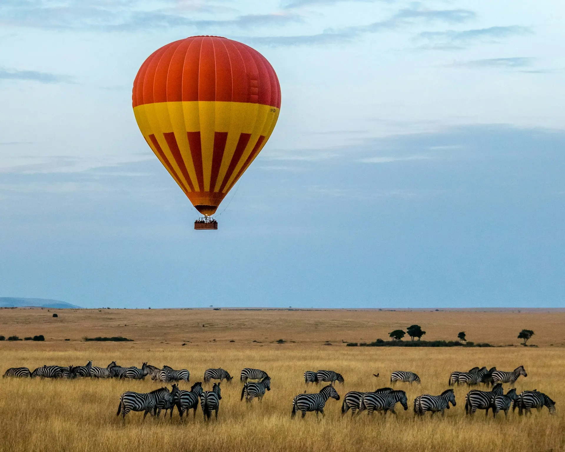 A large wildebeest herd moving across the open Serengeti plains