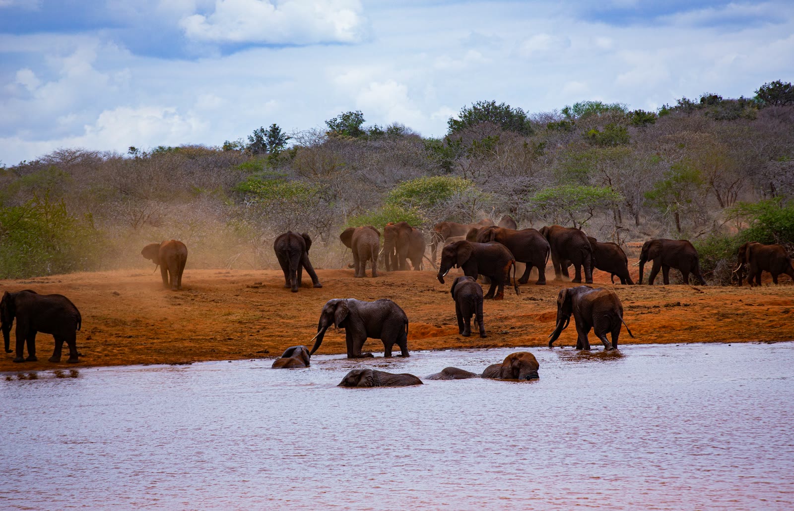 Tsavo West, Kenya