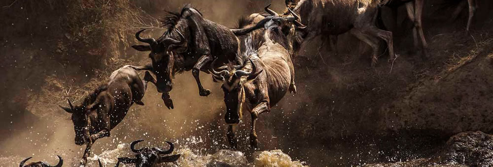 5-Days 4-Nights Masai Mara Game Reserve Safari  